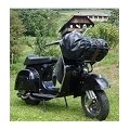 Benutzeravatar